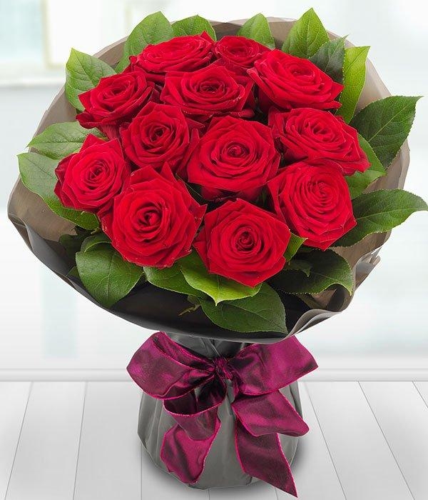 12 best Red Roses*