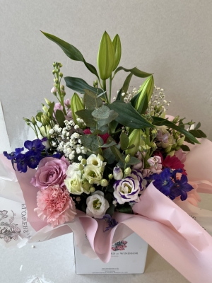 pink and purple aqua pack