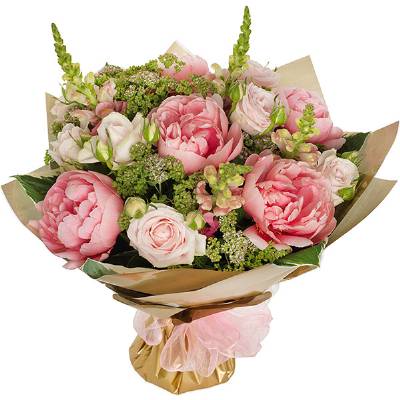 Windsor aqua pack peony burst.