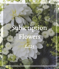 Subscription 125