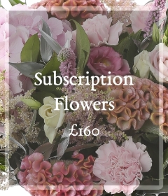 Subscription 160