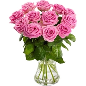 12 pink roses in vase