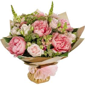Windsor aqua pack peony burst.
